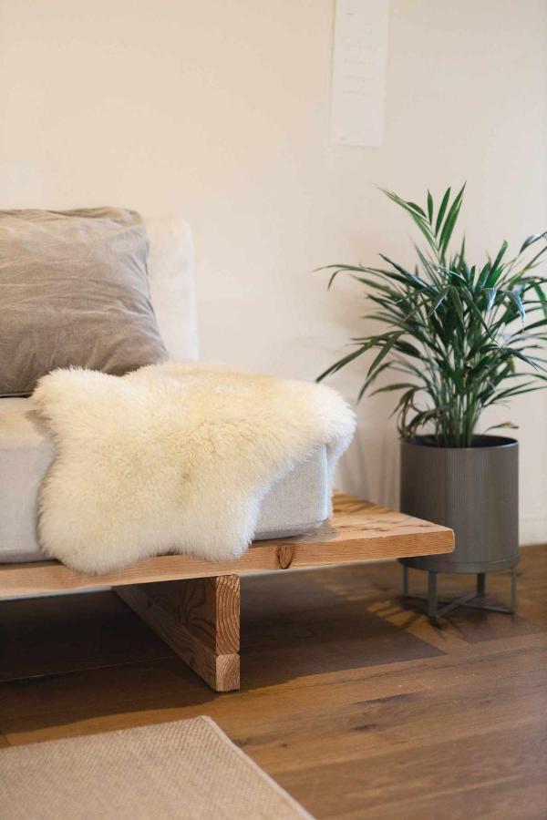 Cal Ouaire House Lohodihomes Viladesens Ngoại thất bức ảnh